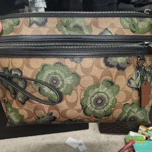 Carryall coach pouch